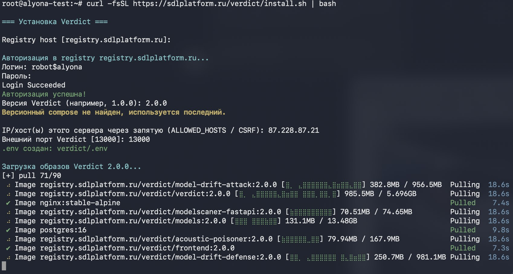 Рисунок 2 — Диалог install.sh: registry, версия, хост и порт